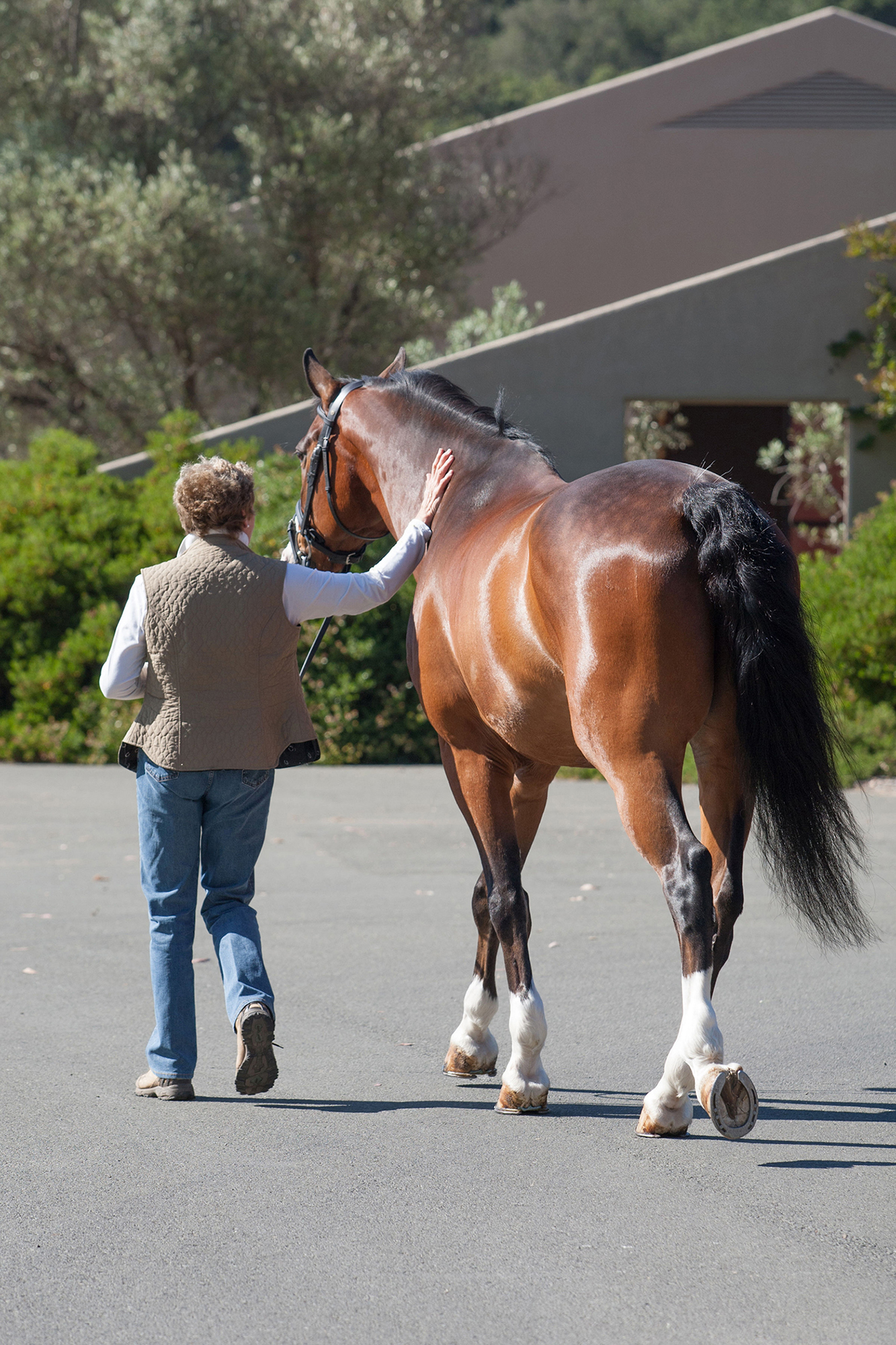 E04 9TOY-2127 - SMALLER