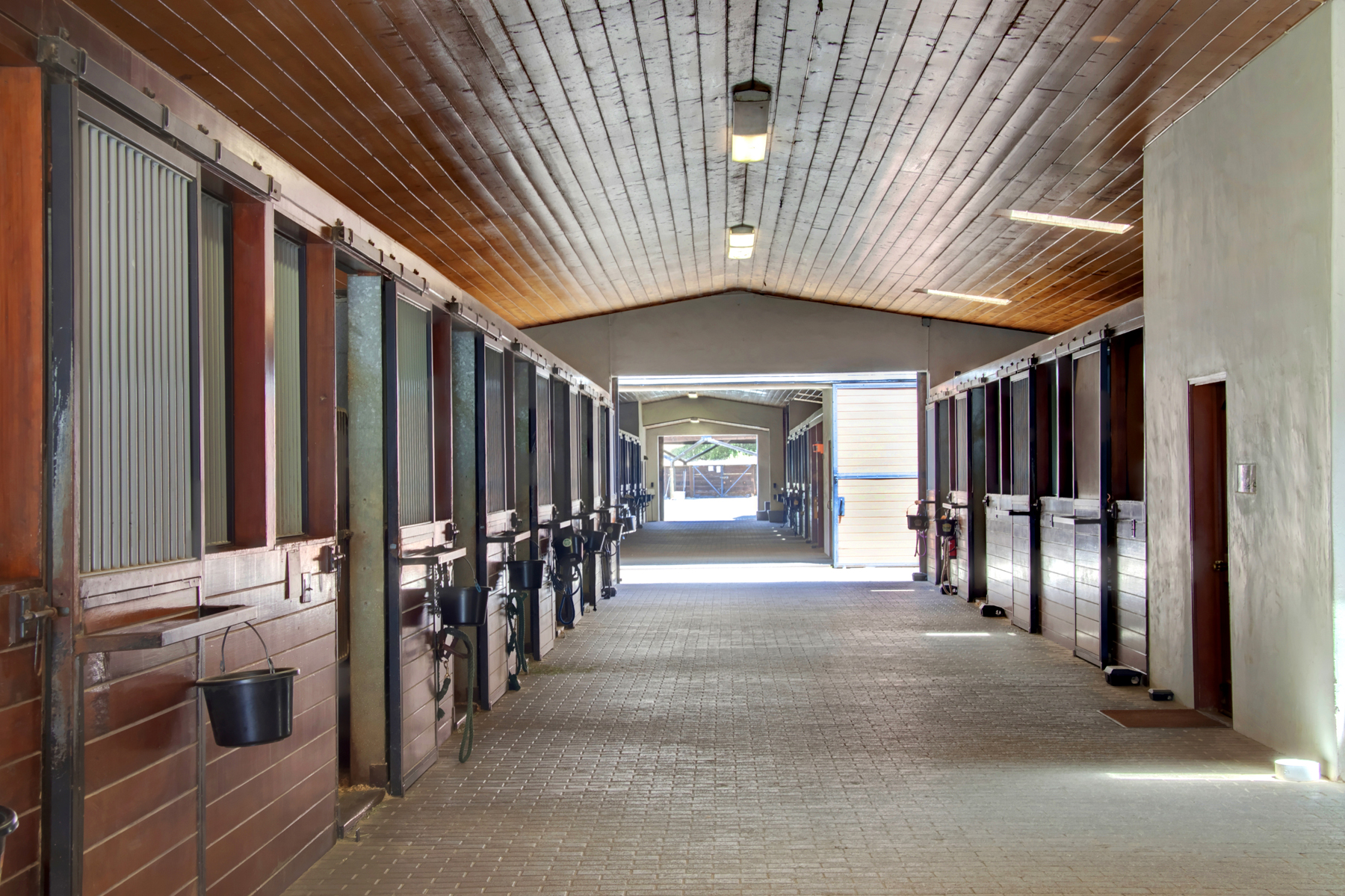 E10 _MG_6394adjustEDIT