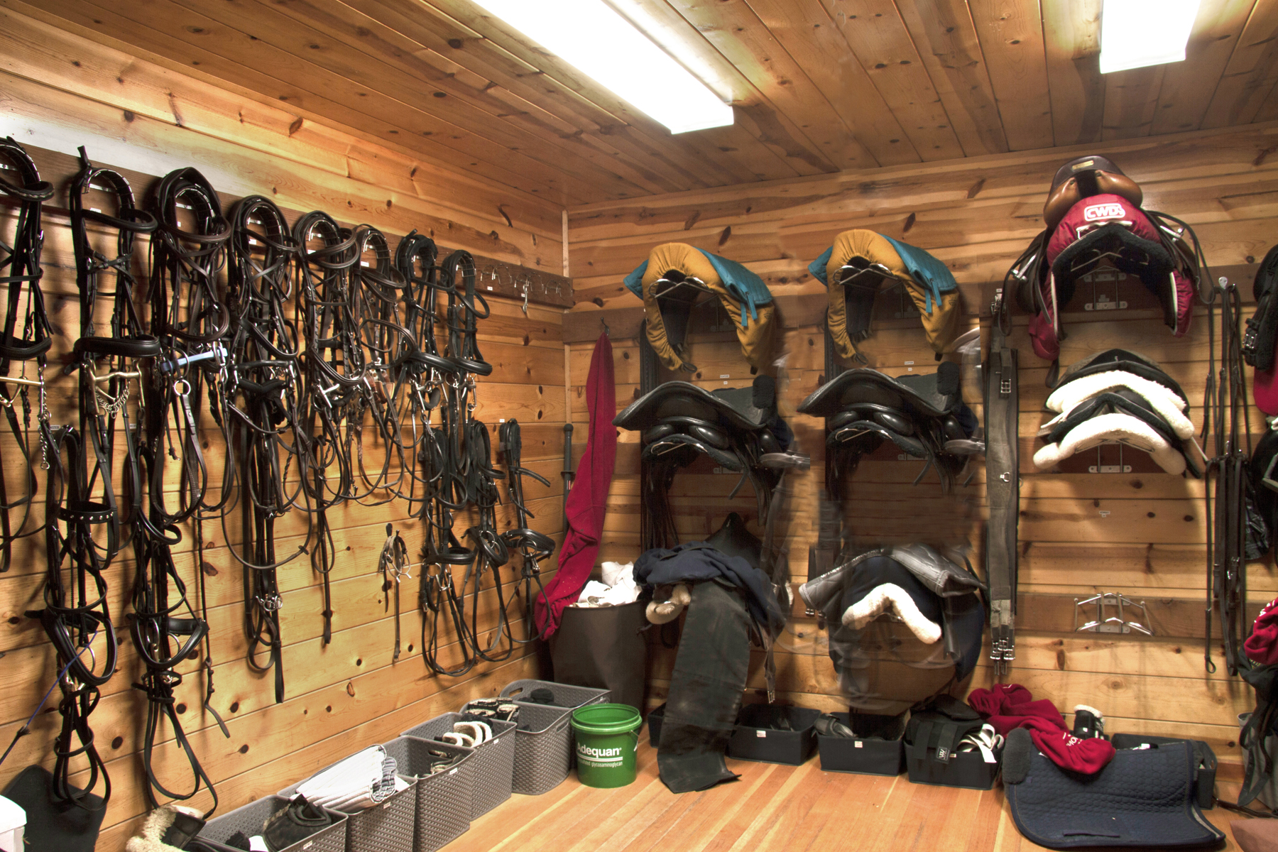 E11 _MG_6414 copy 3EDIT