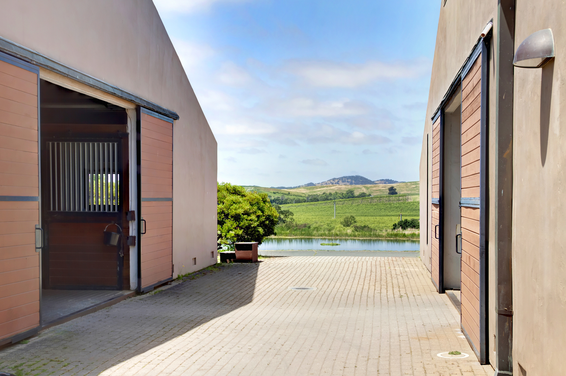 E14 _MG_6369adjustEDIT