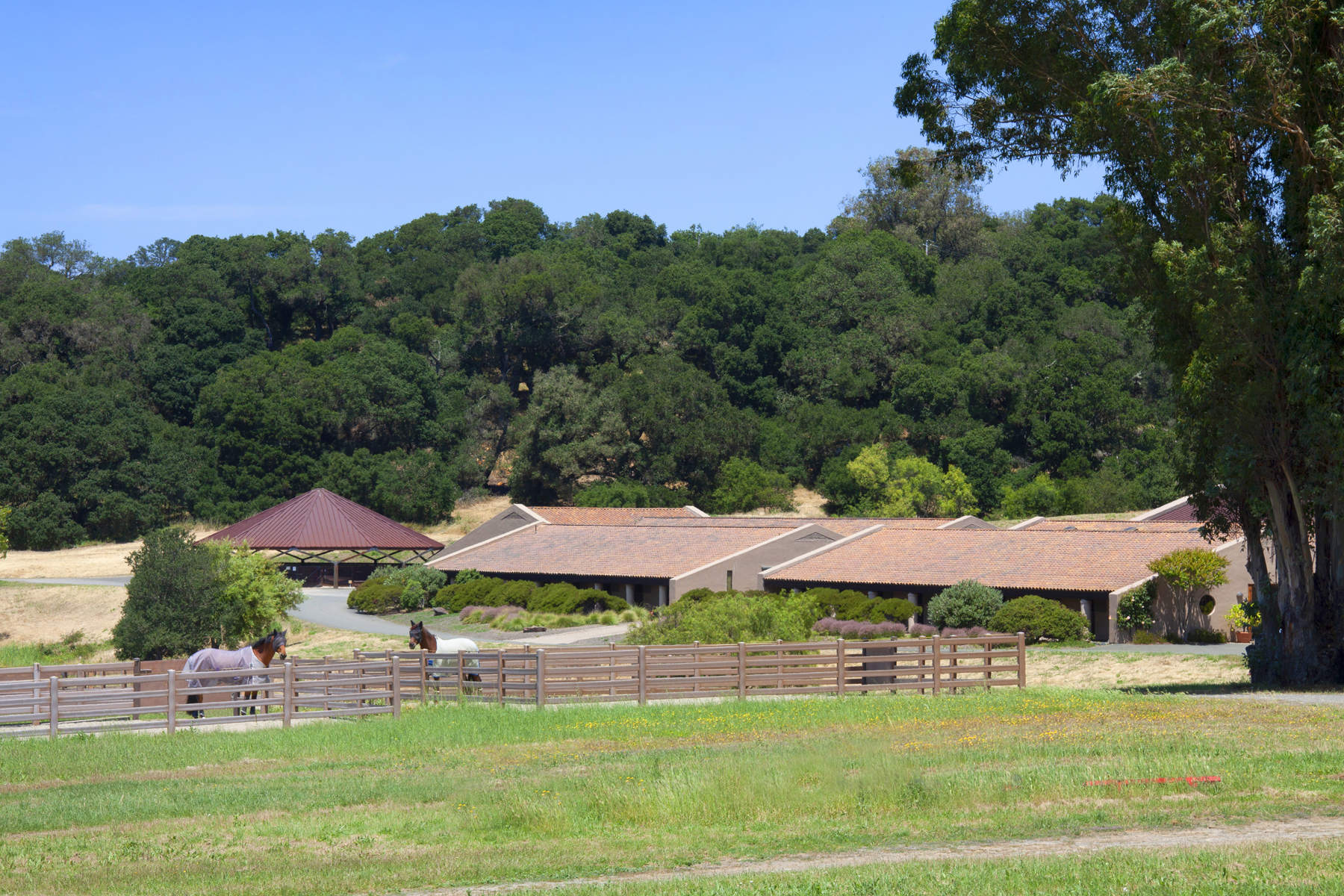 E16 _MG_6470adjust copy