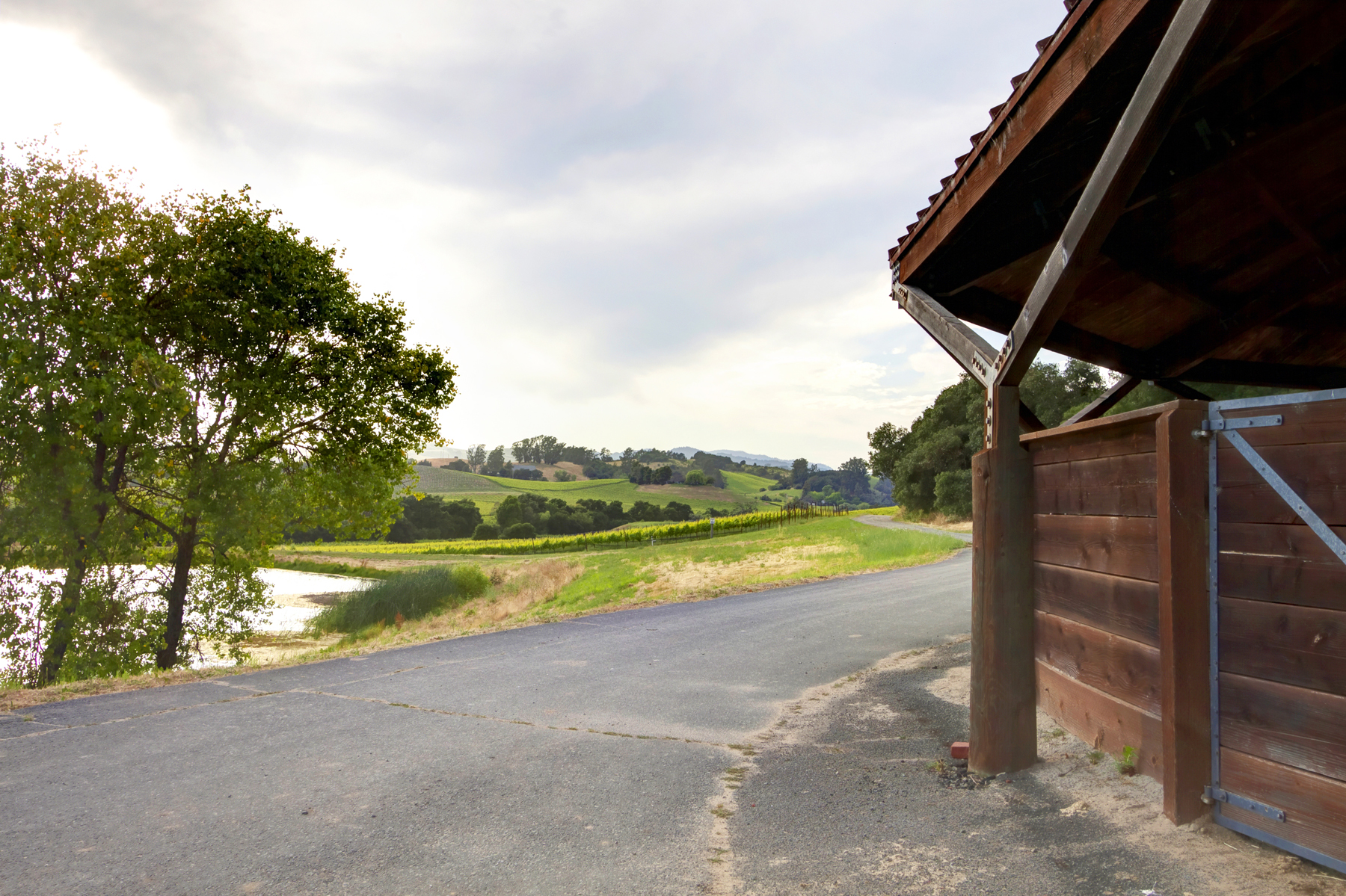 E17 _MG_6753adjustEDIT