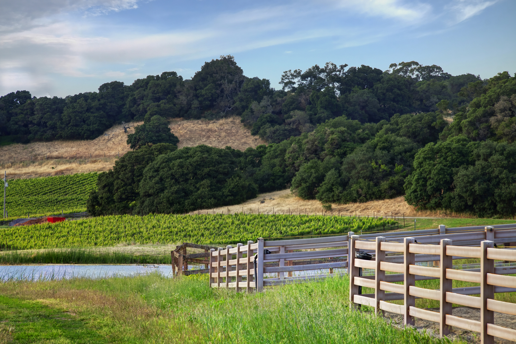 E19 _MG_6783adjustEDIT2