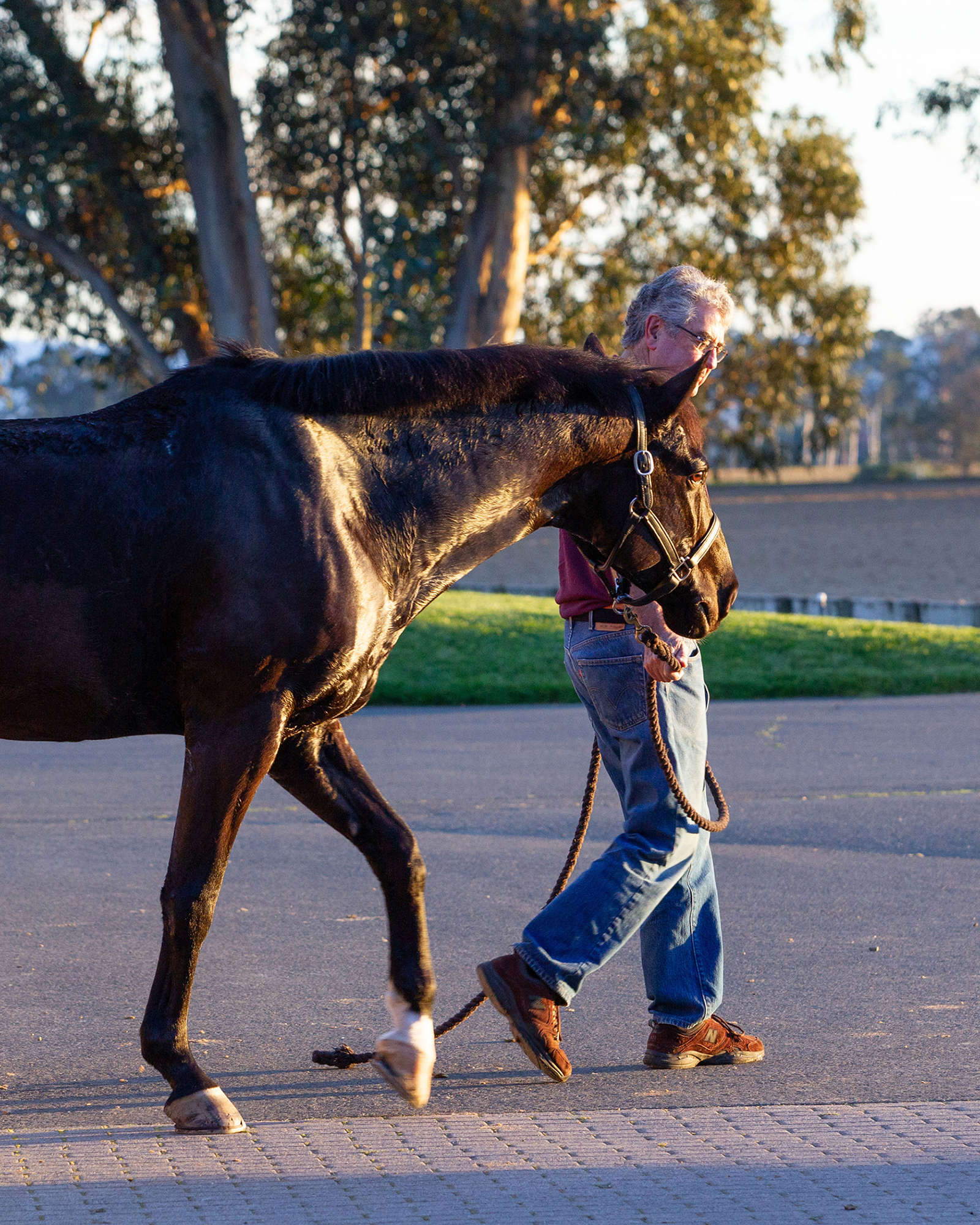 E23 10-11-TOY-6160 - SMALLER