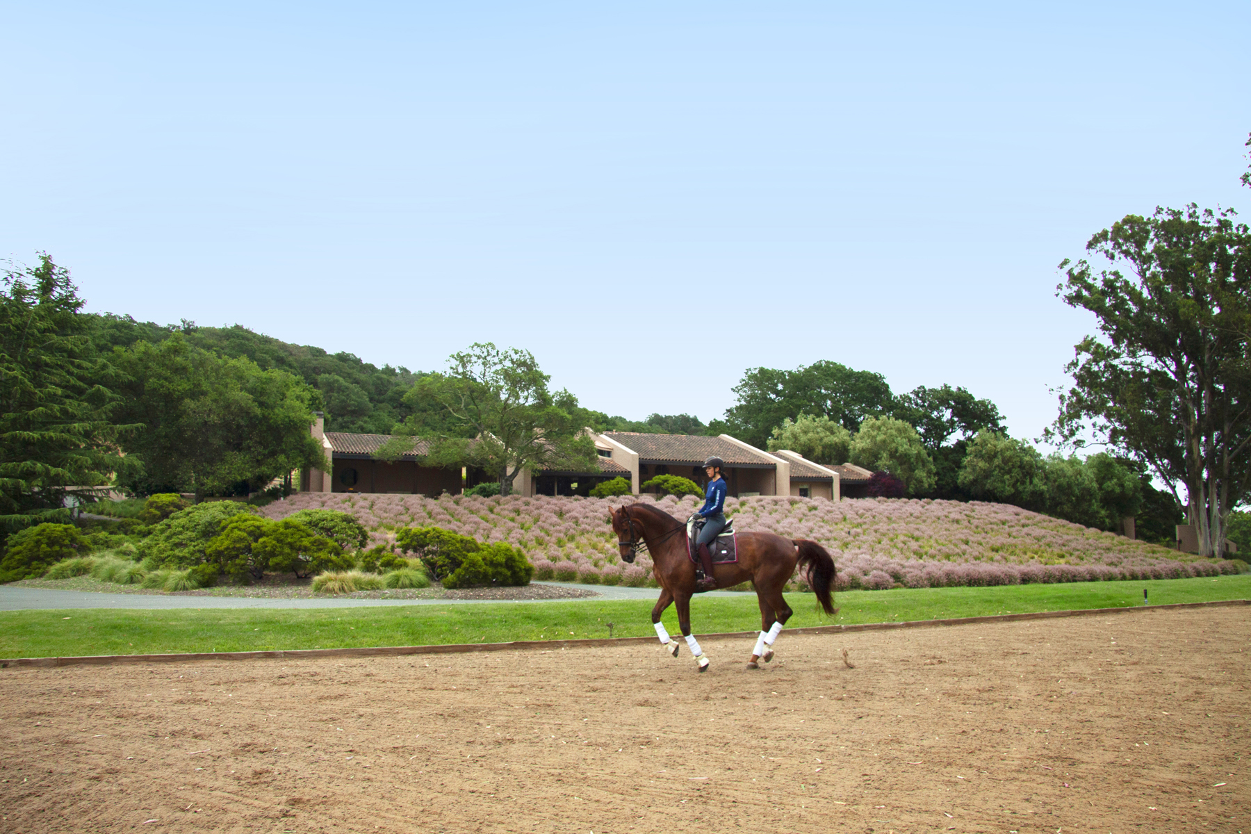 E24 _MG_6208adjustEDIT