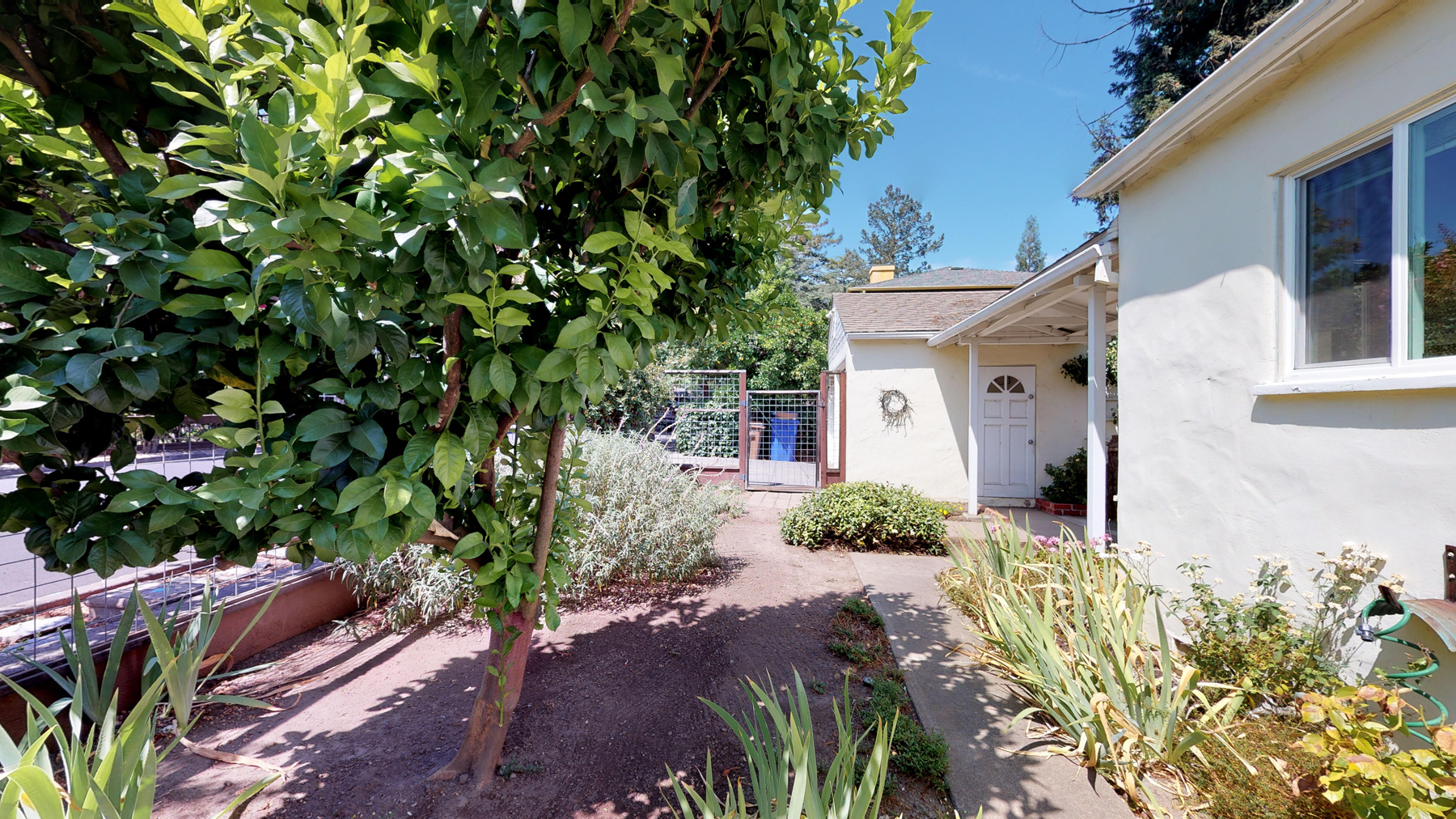 22 - 8012-08252019_163443