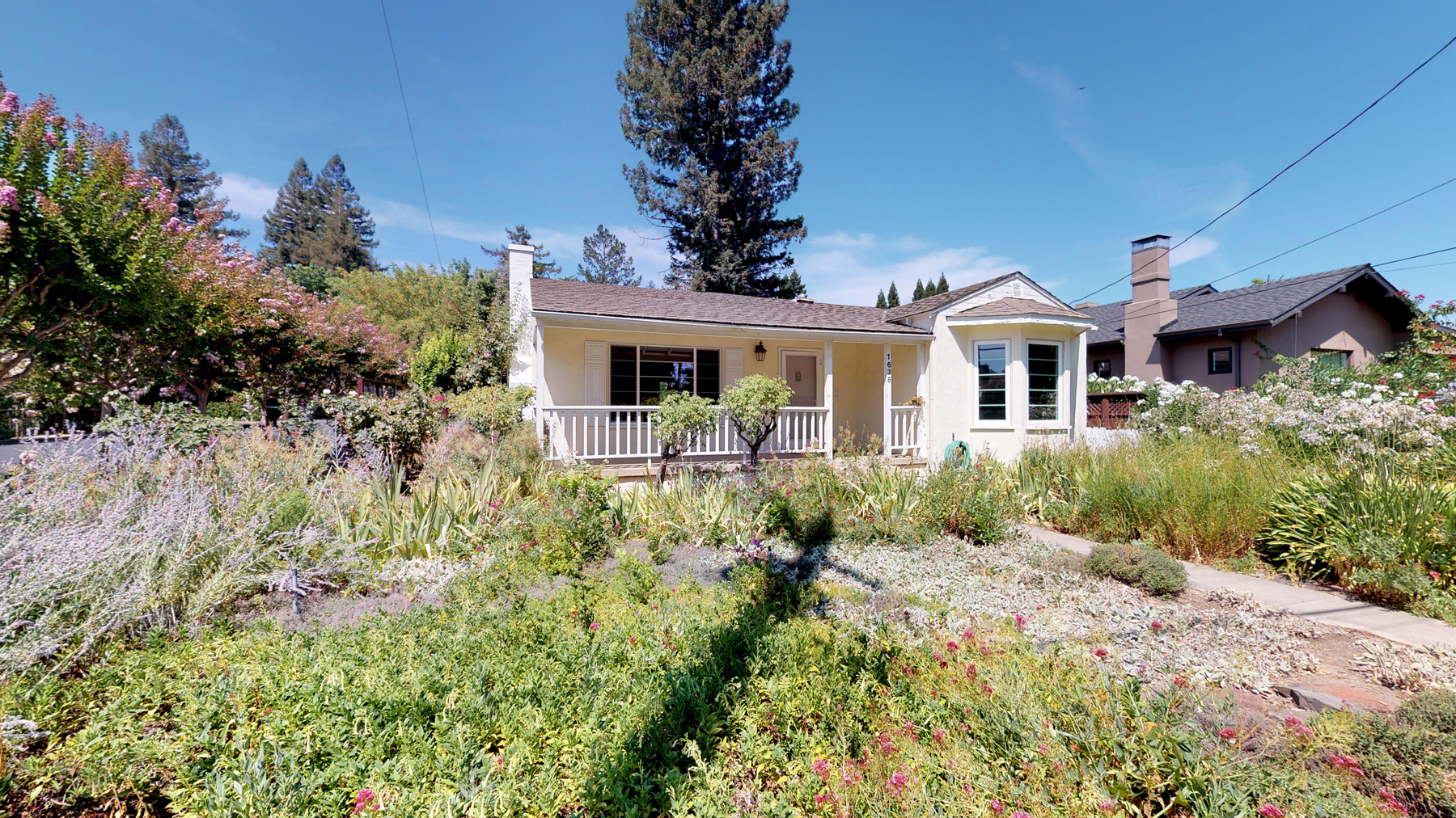 25 - 8012-08252019_163717