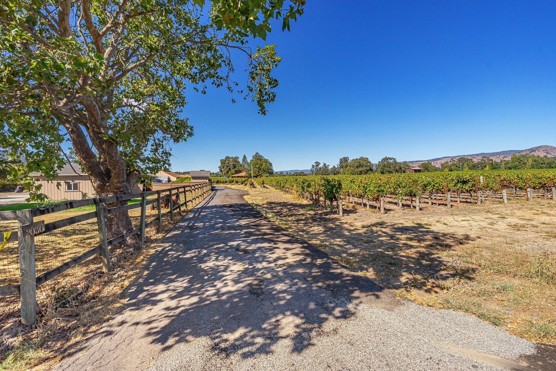 06 _DSC6012EDIT- 2030HoffmanLane