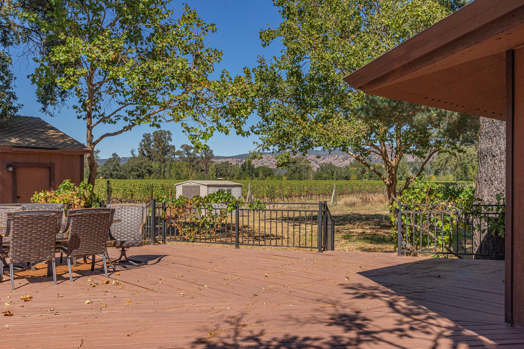 11 _DSC6032- 2030HoffmanLane