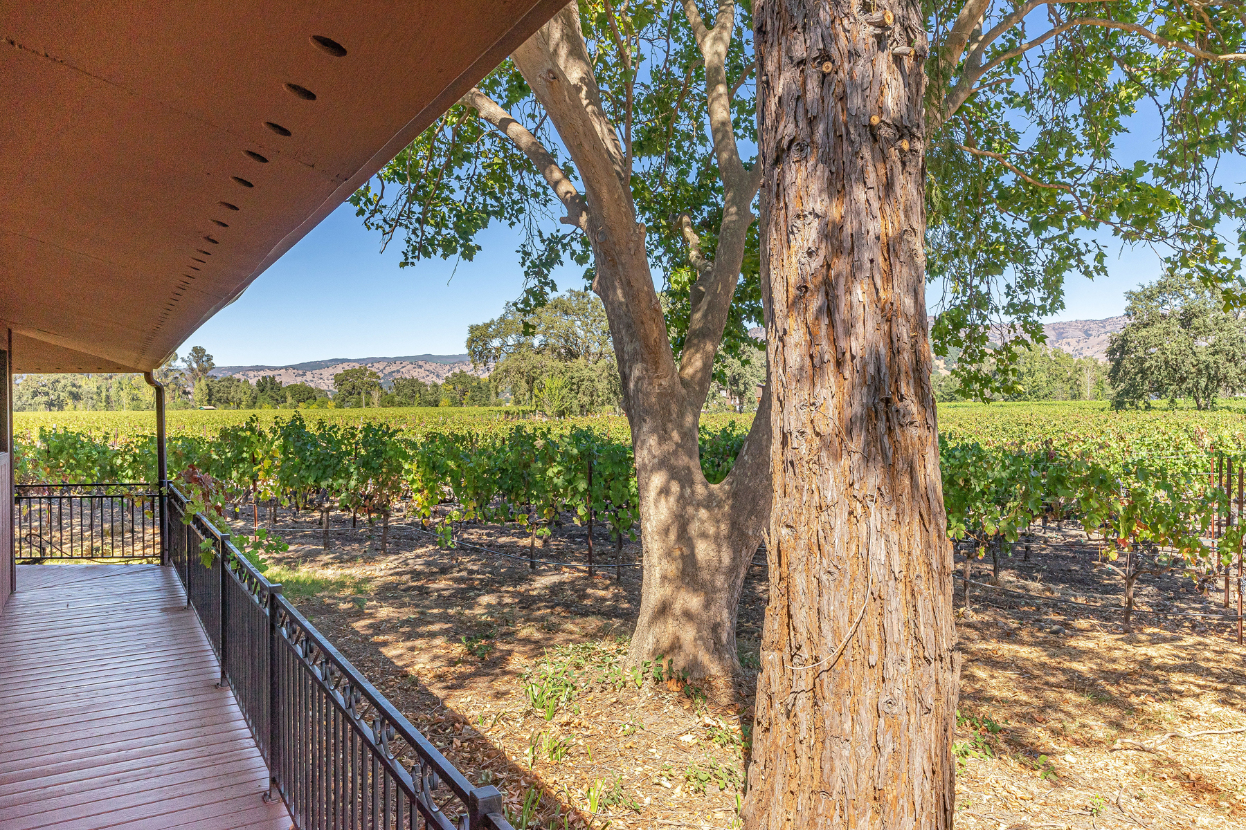 13 _DSC6043- 2030HoffmanLane