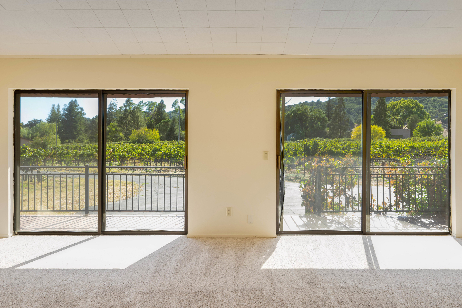 30 _DSC6113- 2030HoffmanLane