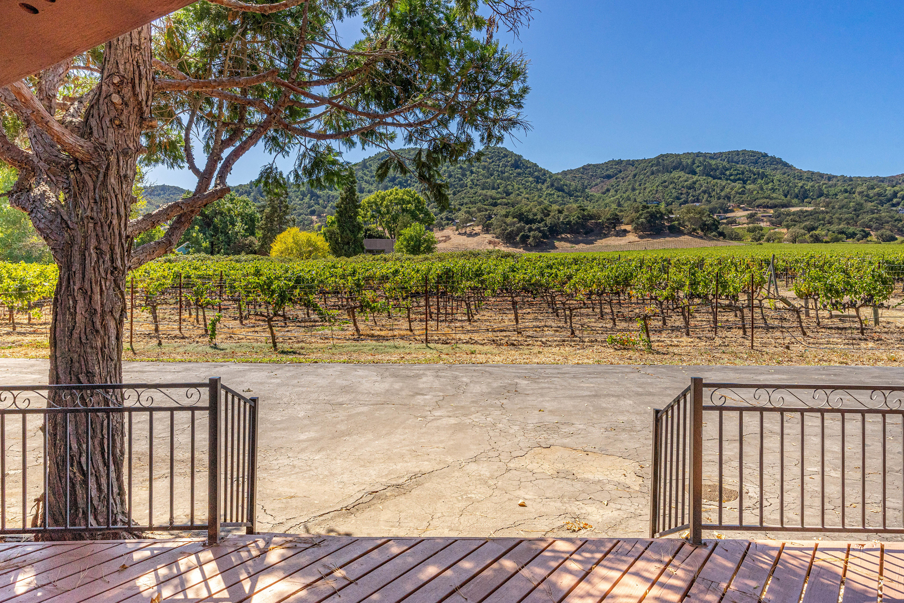 31 _DSC6033- 2030HoffmanLane