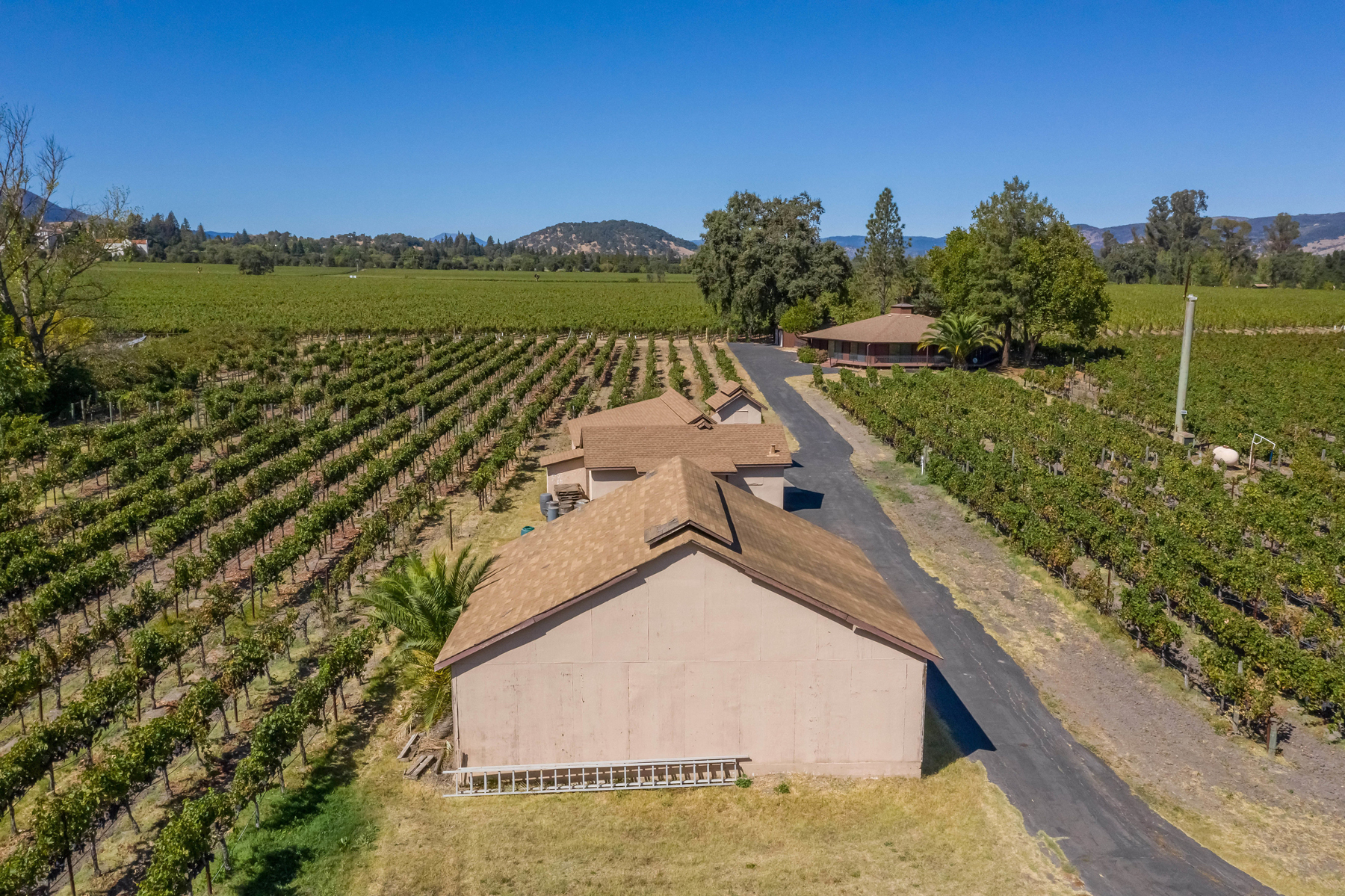 39 DJI_0873- 2030HoffmanLane