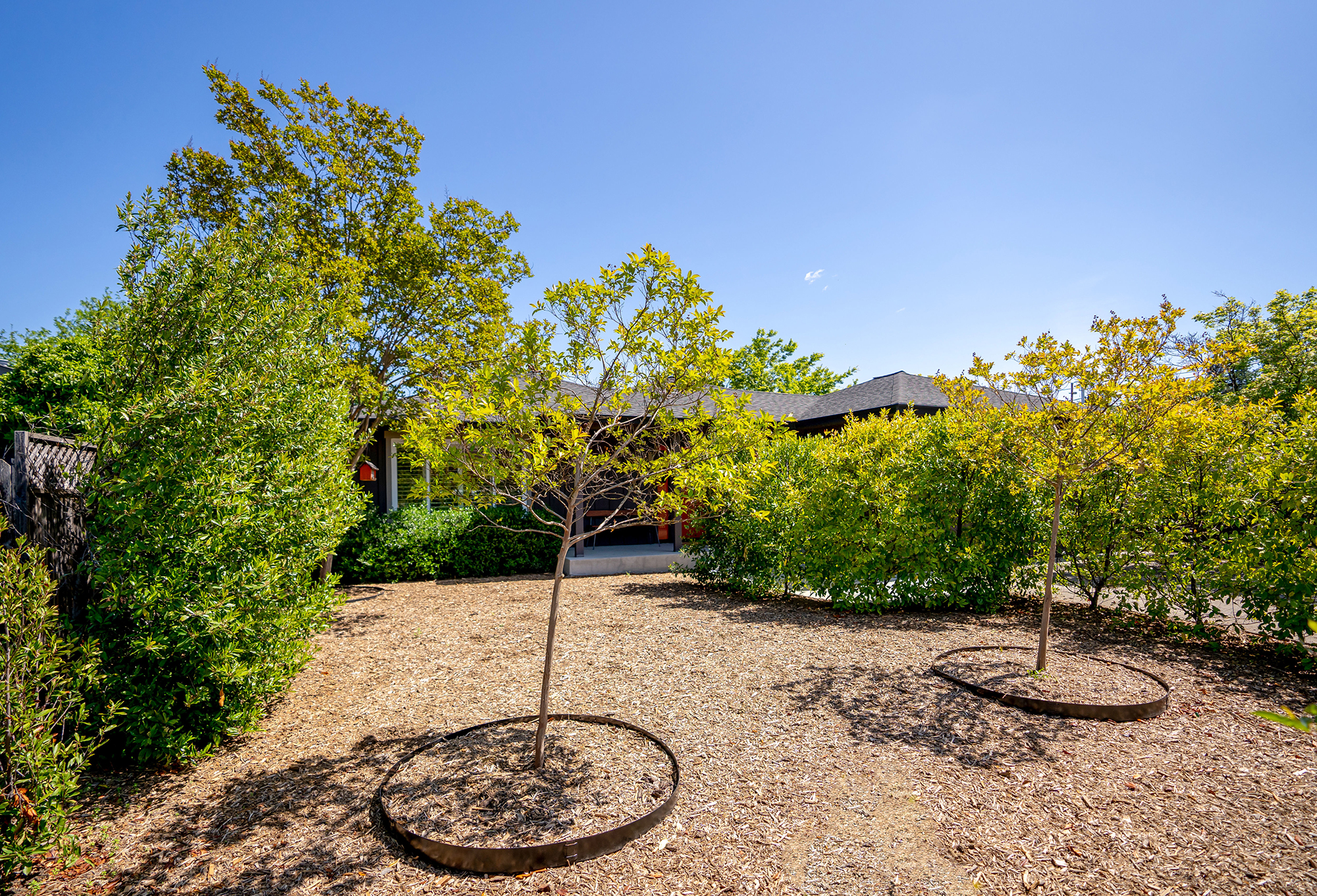 40 - DSC01672- 1823CrinellaDrive