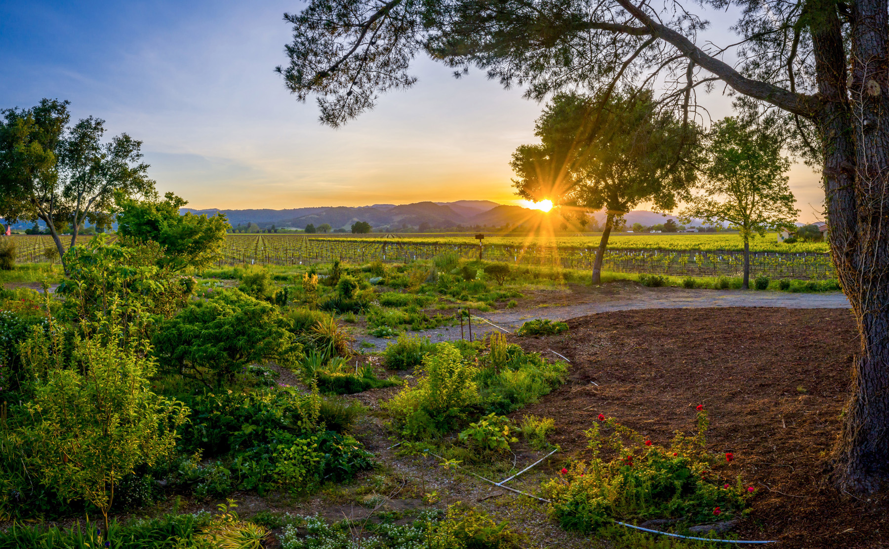 02 - DJI_0739-Pano- 5075BigRanchRoad