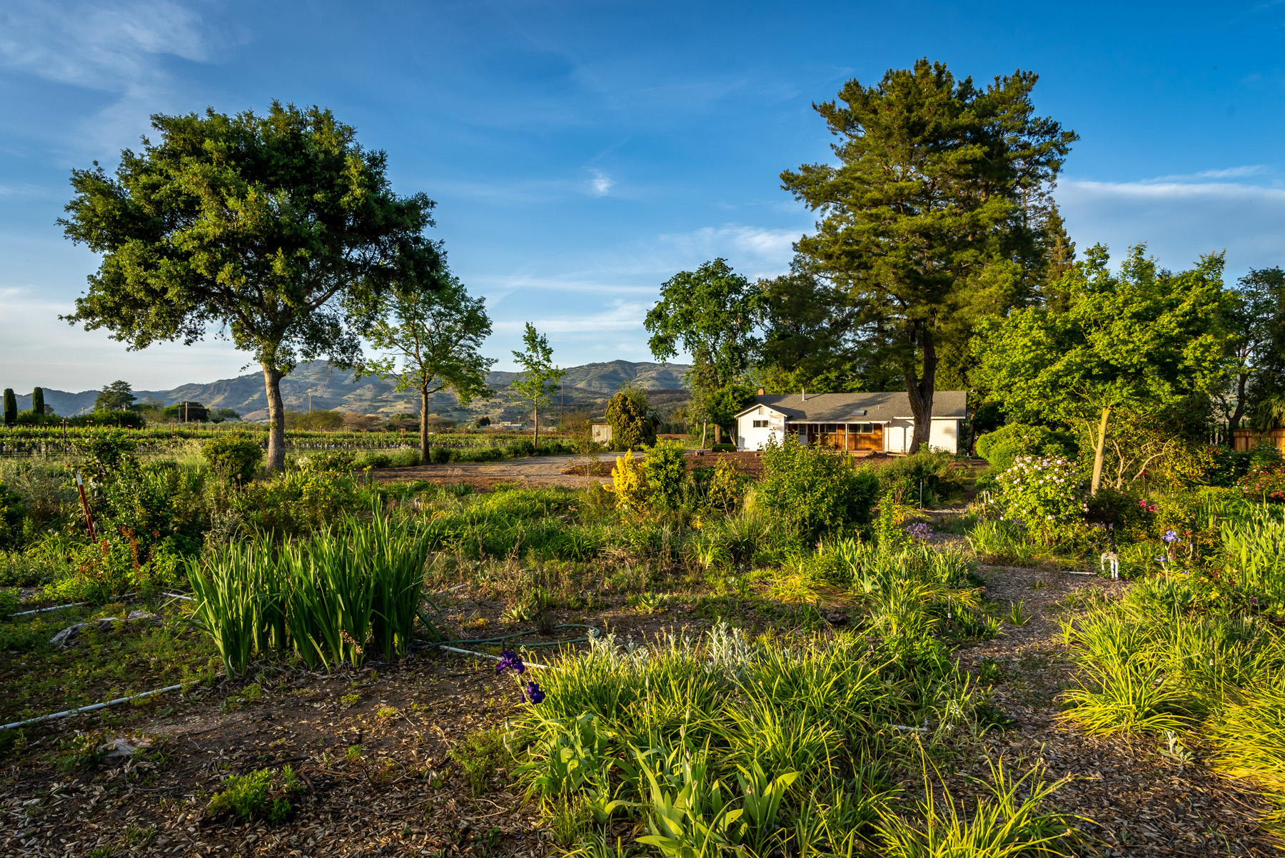 03 - DSC02395- 5075BigRanchRoad