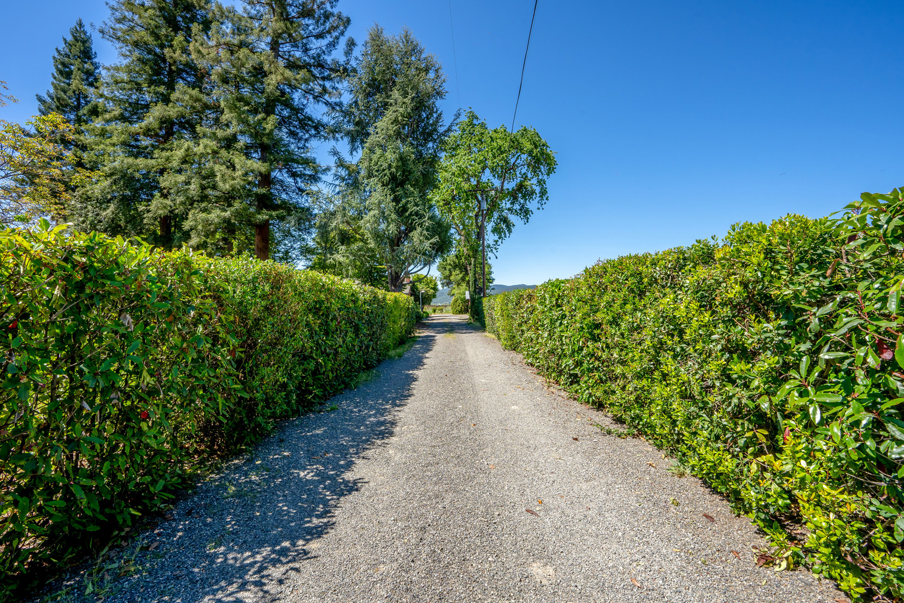 07- DSC02146- 5075BigRanchRoad