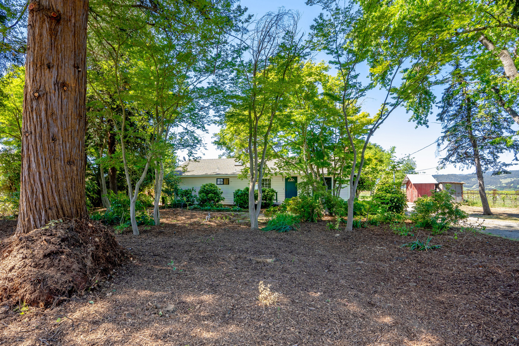 10 - DSC02150- 5075BigRanchRoad