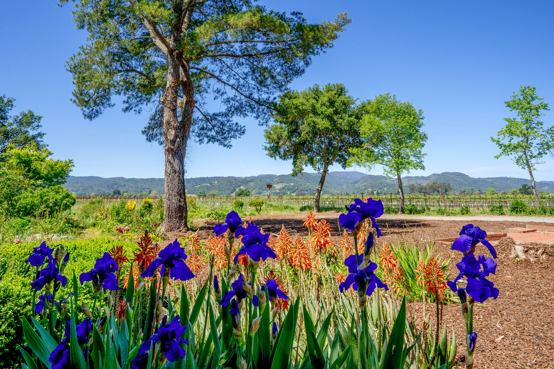 13 - DSC02159- 5075BigRanchRoad