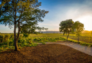 15 - DJI_0660-Pano- 5075BigRanchRoad