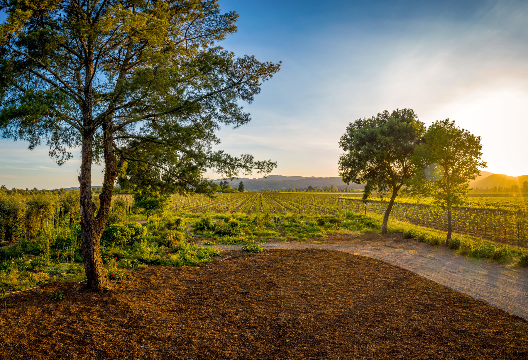 15 - DJI_0660-Pano- 5075BigRanchRoad