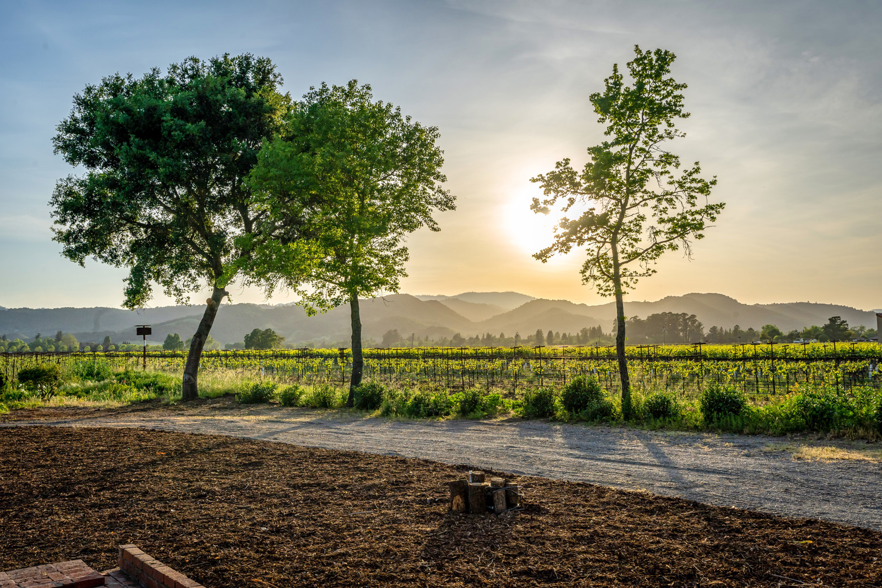 16 - DSC02379- 5075BigRanchRoad