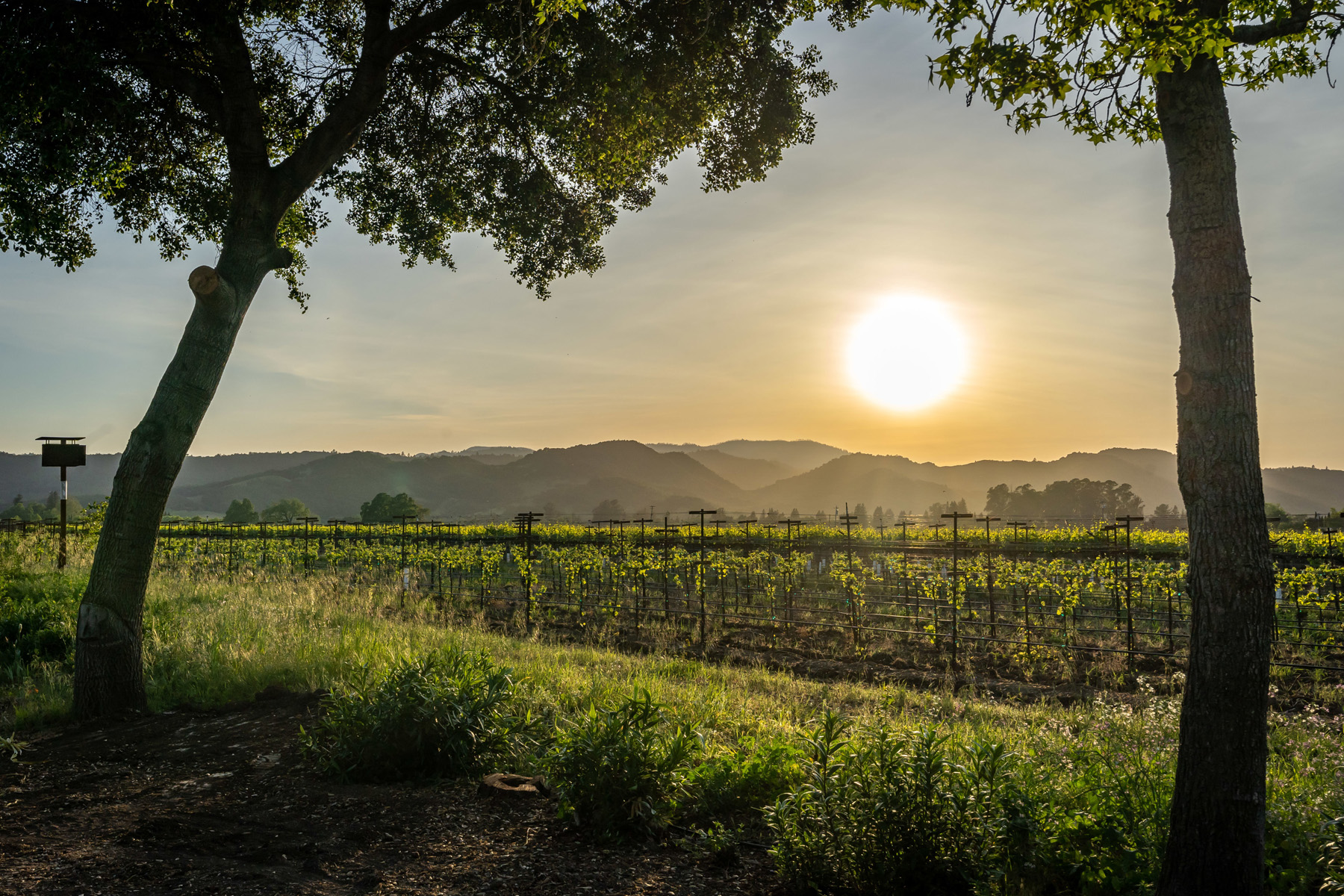 17 - DSC02409- 5075BigRanchRoad