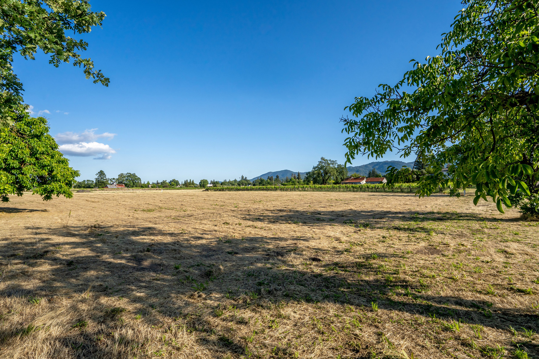 03 - DSC06860- 777PrattAve