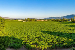 A01 - DJI_0332-PanoCROPPEDII- 1135RutherfordRoad