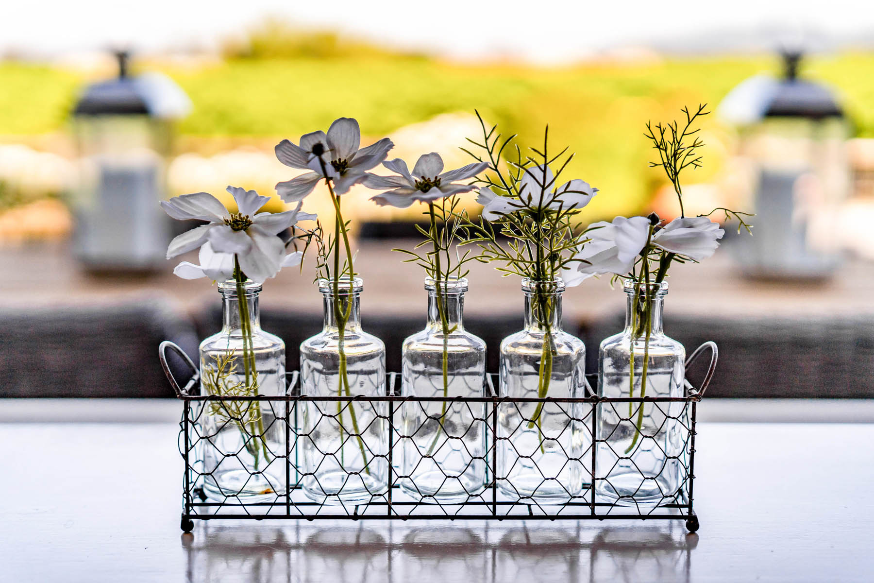 B16 - DSC01938- 1135RutherfordRoad