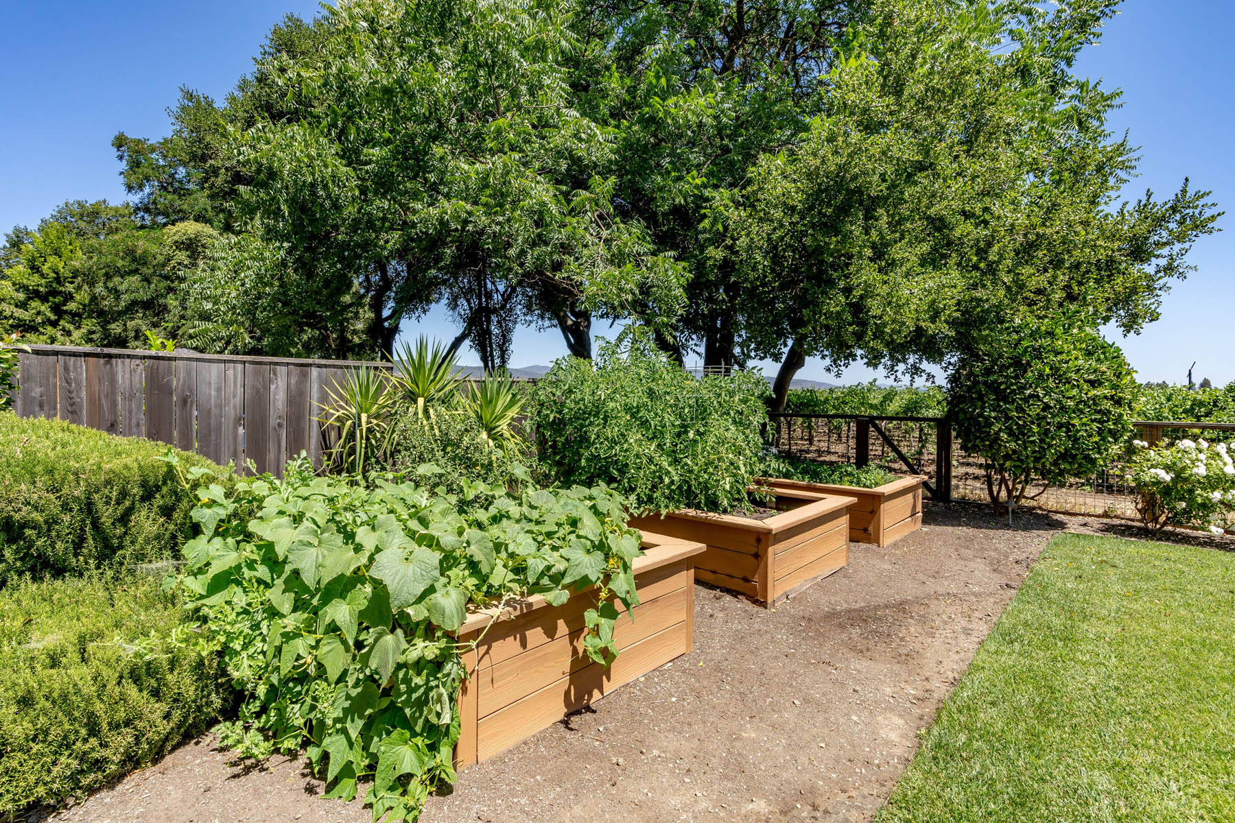 C13 - DSC01525- 1135RutherfordRoad