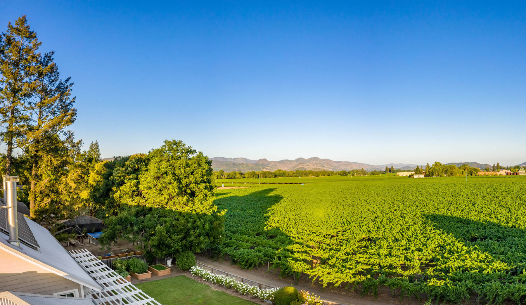 D01 - DJI_0341-Pano- 1135RutherfordRoad