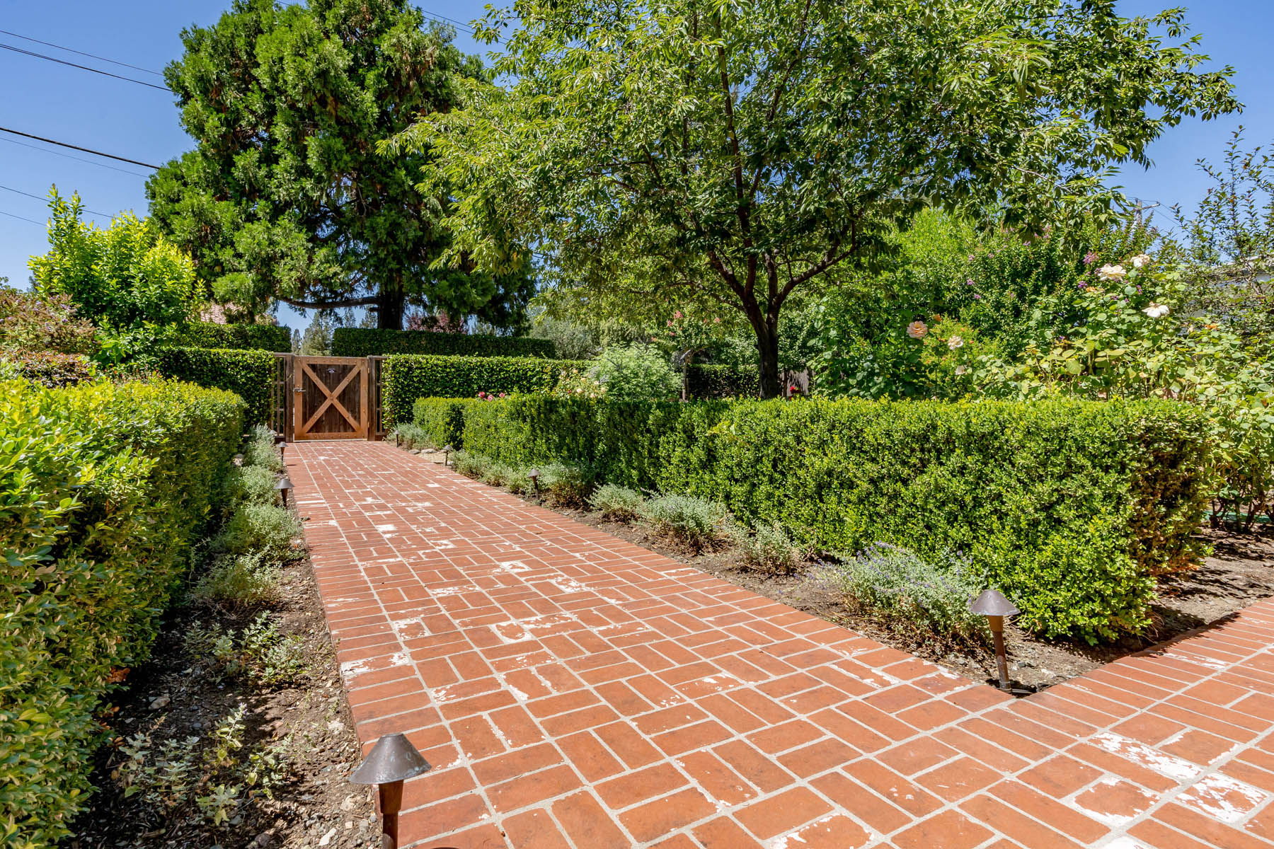 D03 - DSC01484- 1135RutherfordRoad