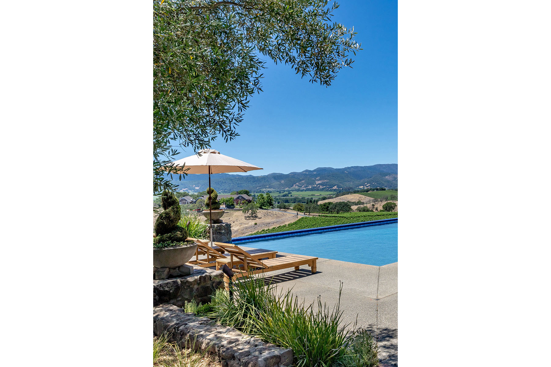 D03 - DSC03583VERTICALCROP_Cropped