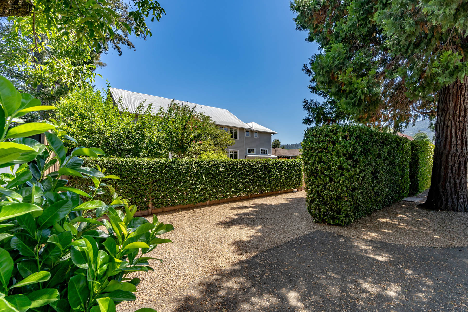 D05 - DSC01517- 1135RutherfordRoad