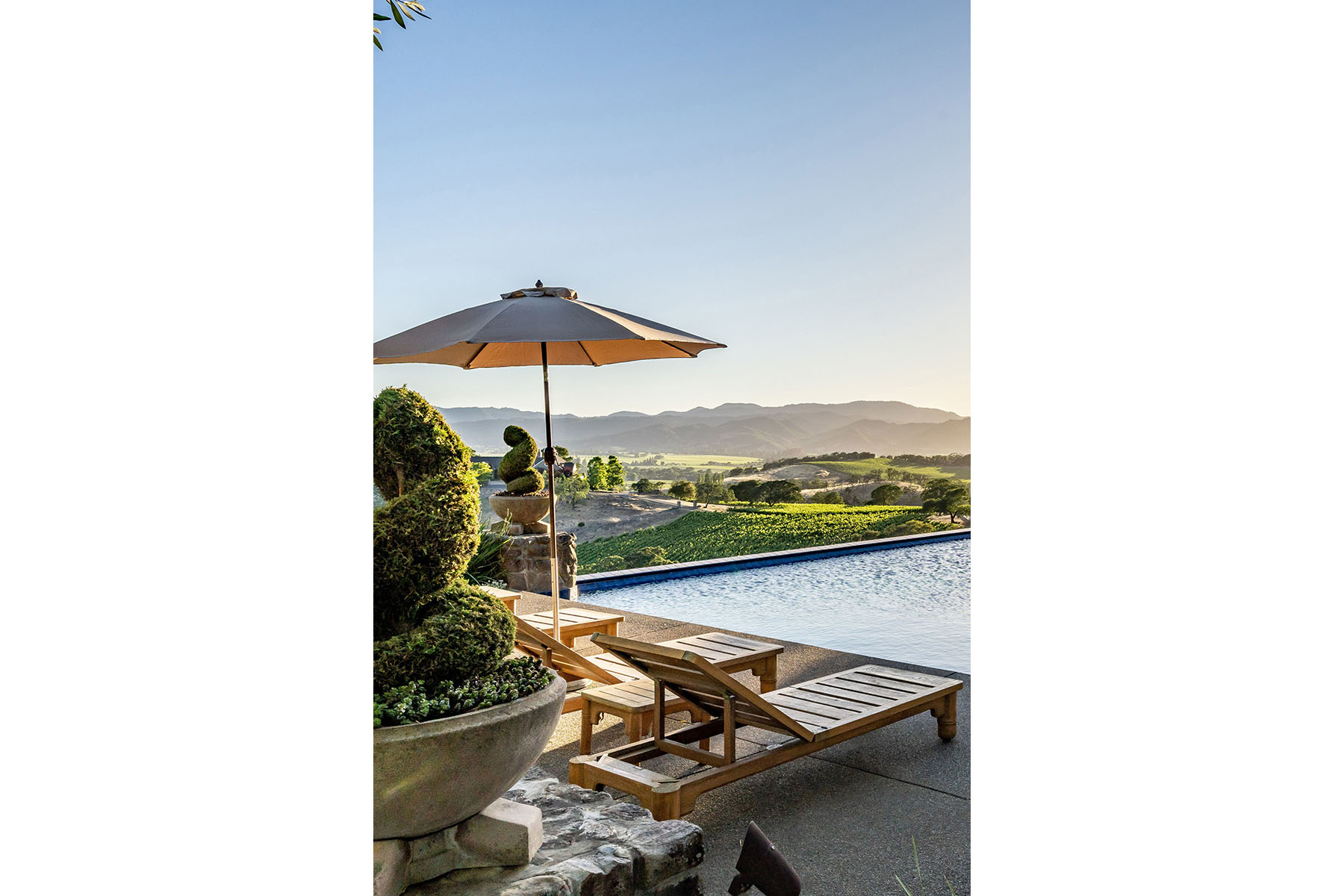 F05 - DSC04321VERTICAL CROPPED2