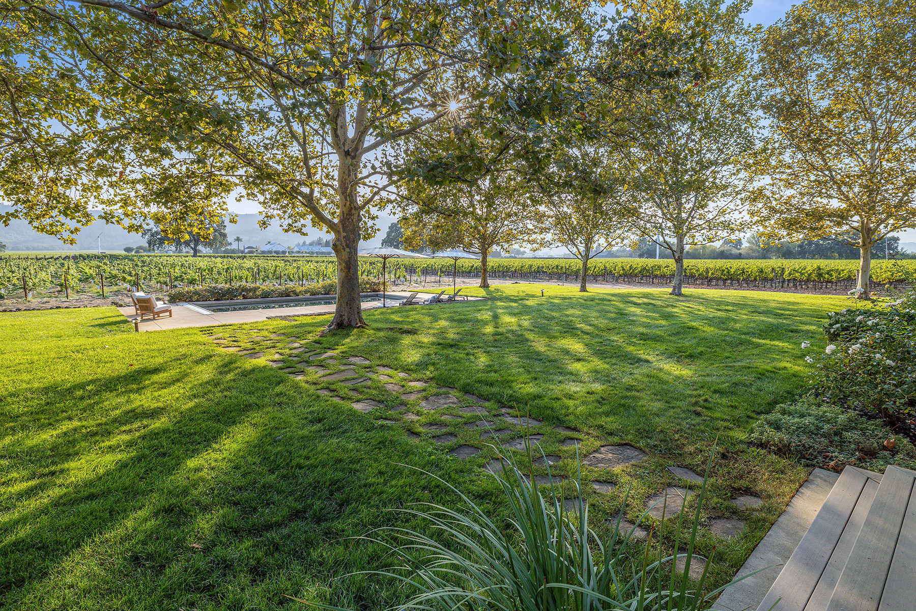 03 - 7940-saint-helena-highway.39024.p3k.49.print