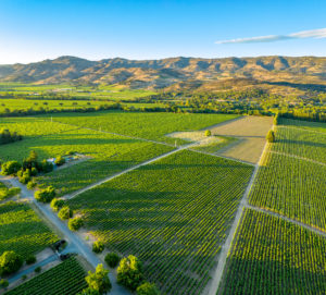 05 - DJI_0427-Pano