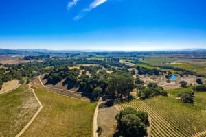 A01 - DJI_0178-Pano_EDITED