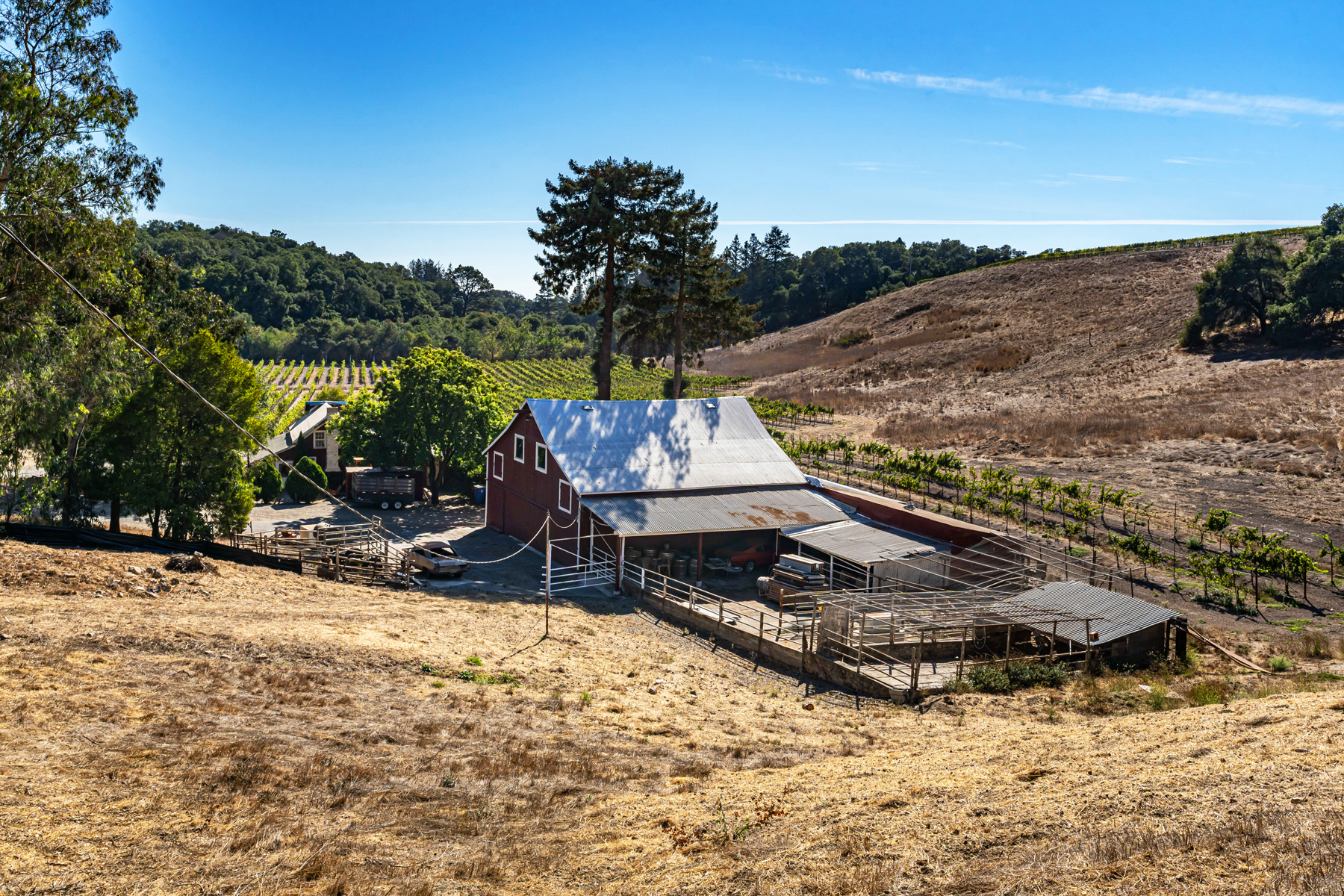 B05 - DSC03505_EDITED