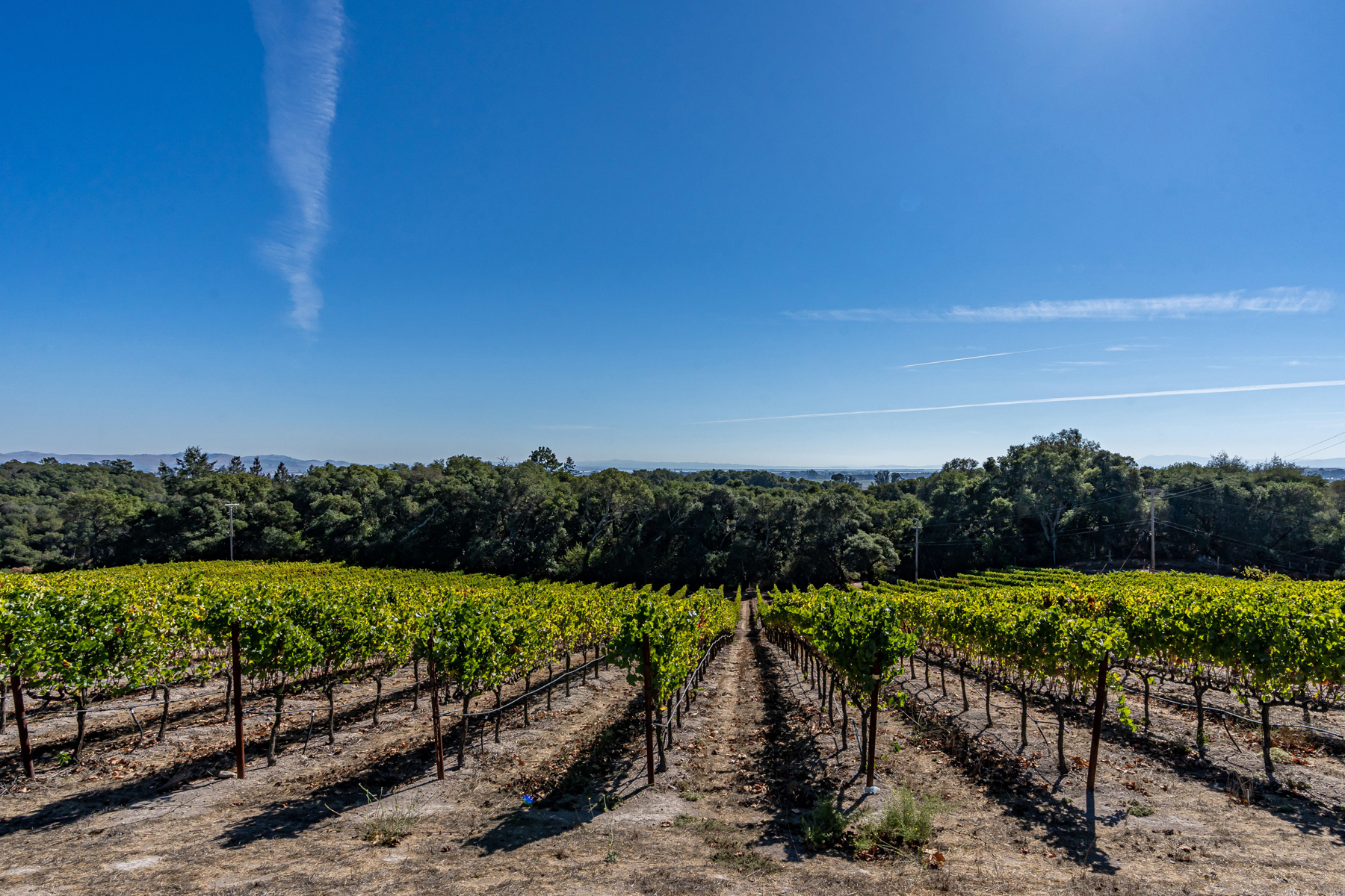 B06 - DSC03519CROPPED