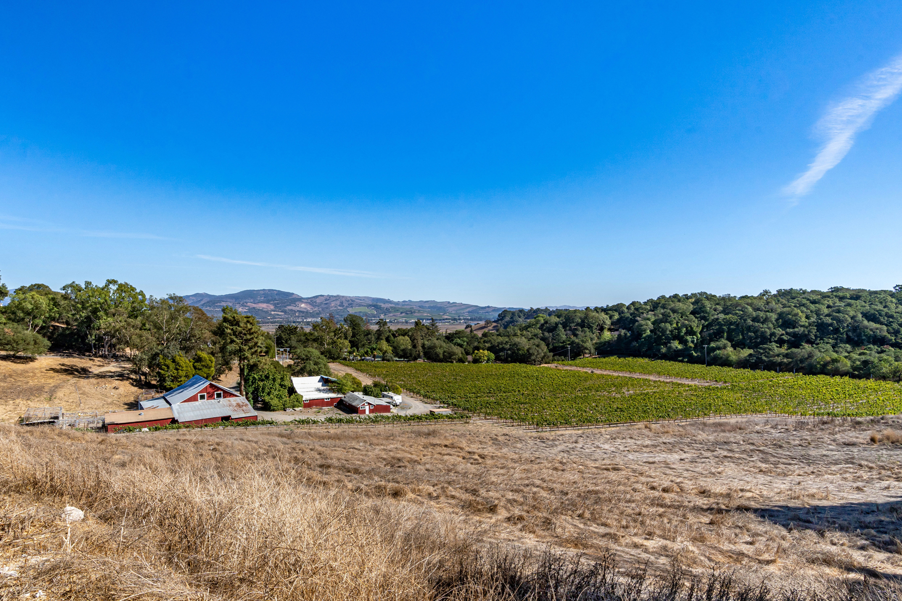 B08 - DSC03510_EDITEDCROPPED