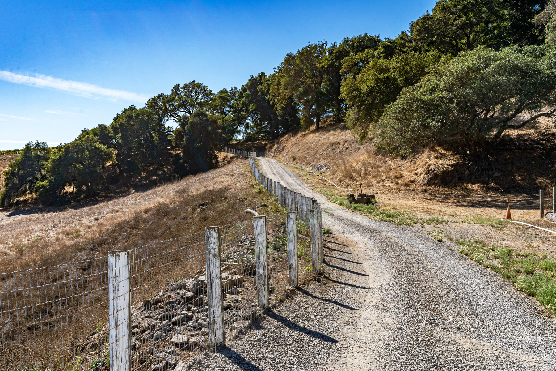 C01 - DSC03508_EDITED