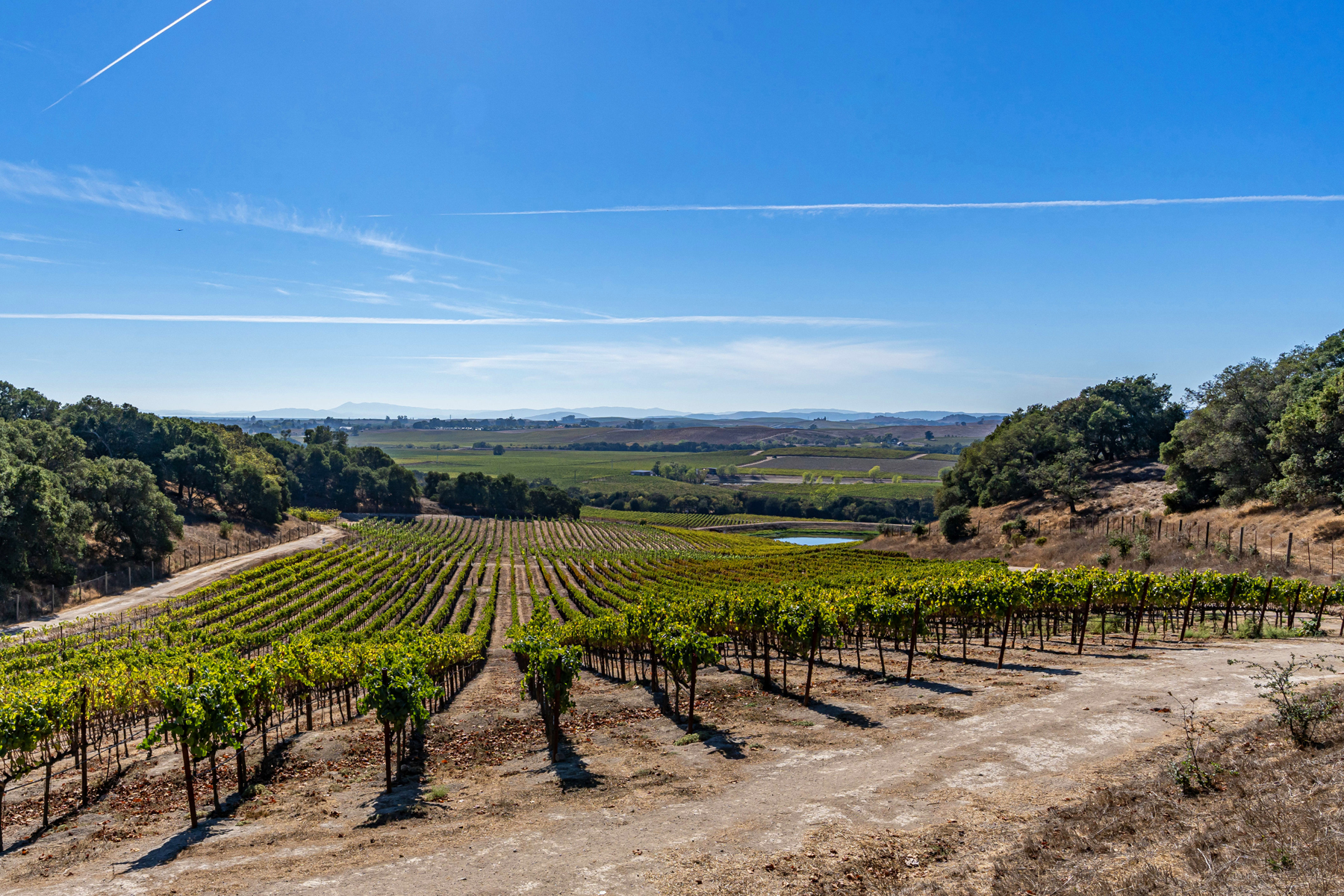 C06 - DSC03546_EDITED