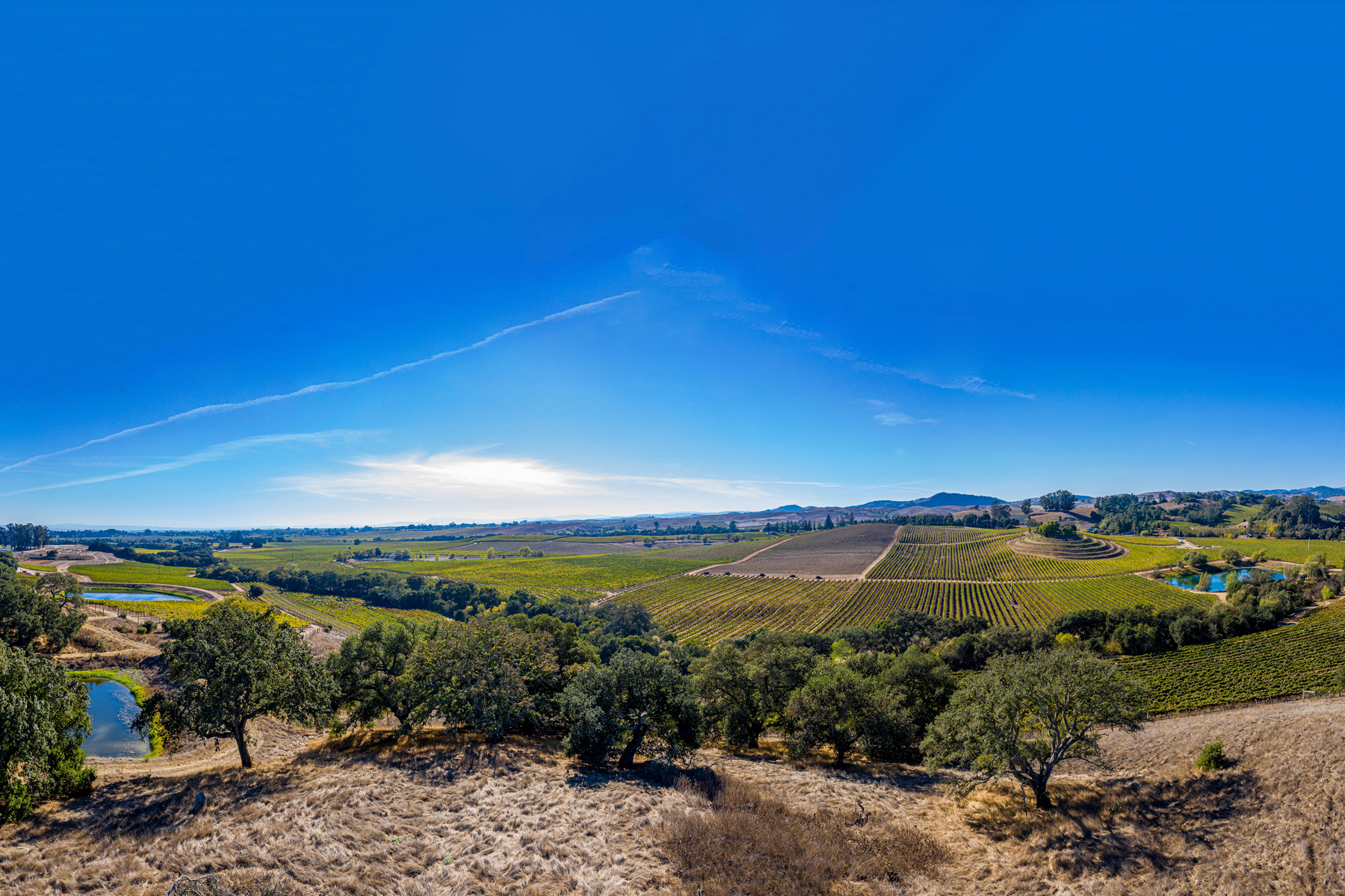 D01 - DJI_0336-Pano_smallerCROPPEDEDIT