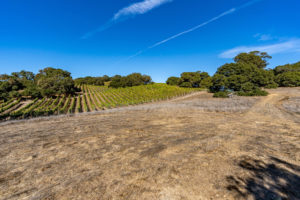 D05 - DSC03595