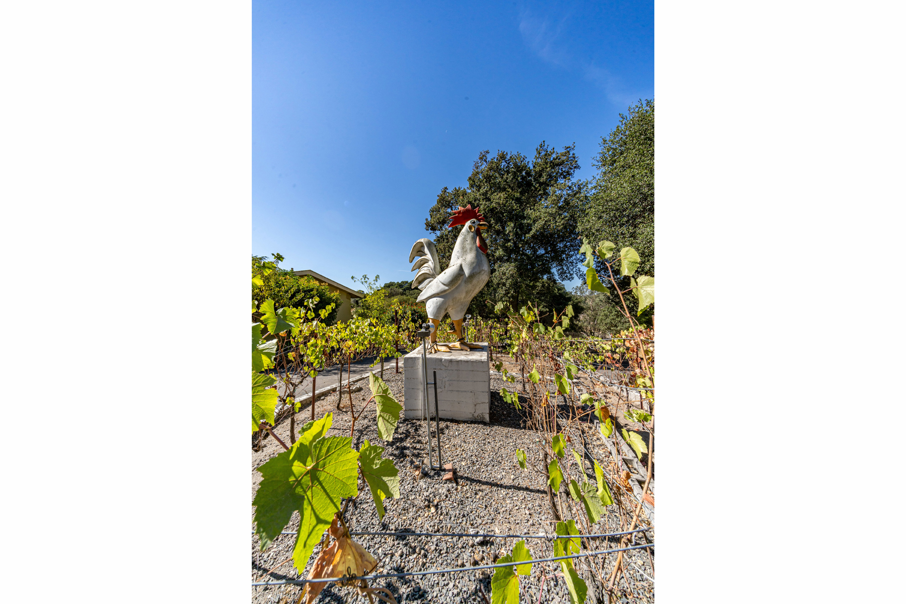 E04 - DSC03465_EDITEd