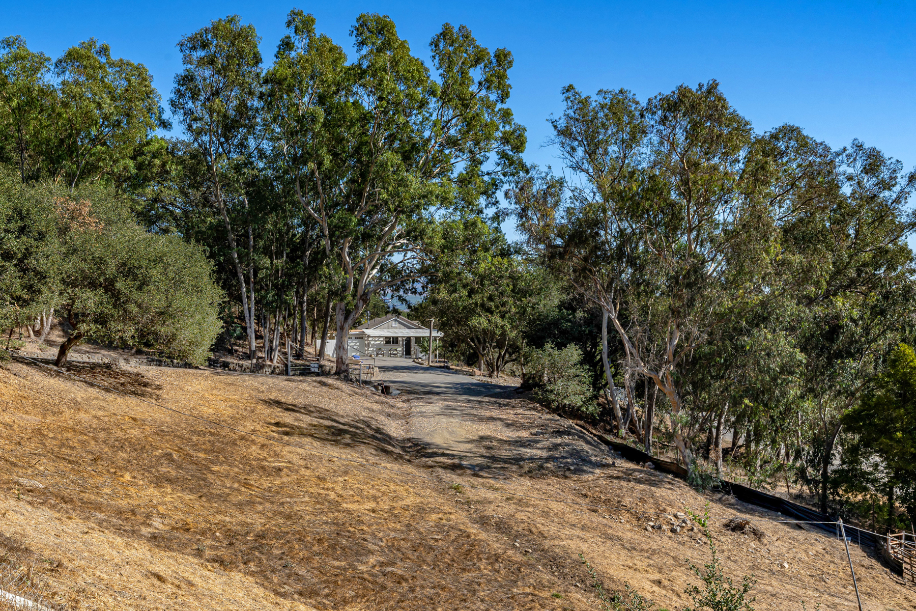 E09 - DSC03507_EDITED