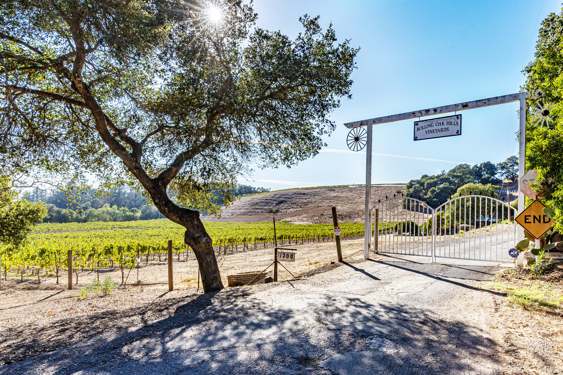 F01 - DSC03613EDITCROPPED2