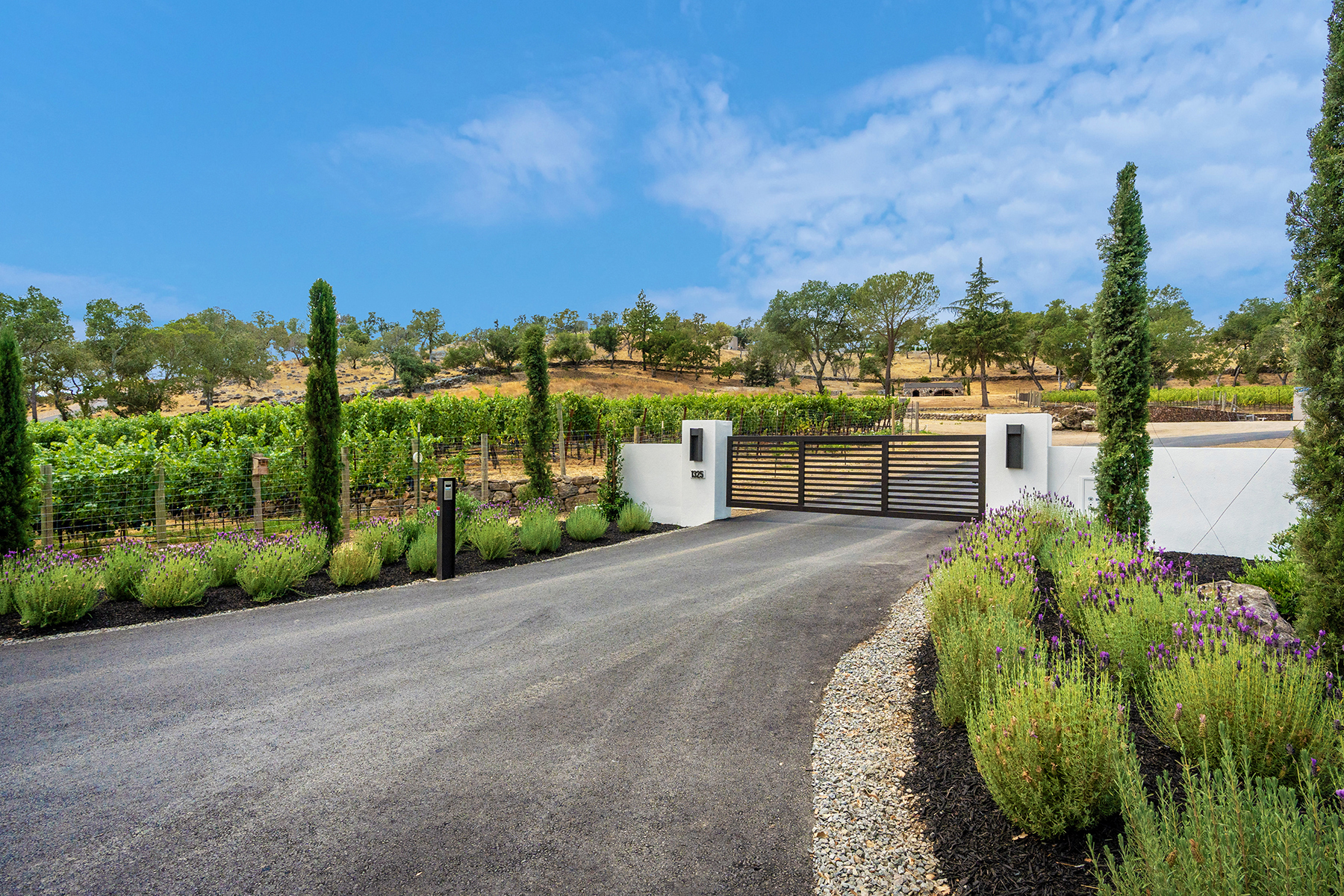 A02A - 05-DSC00780_EDITED